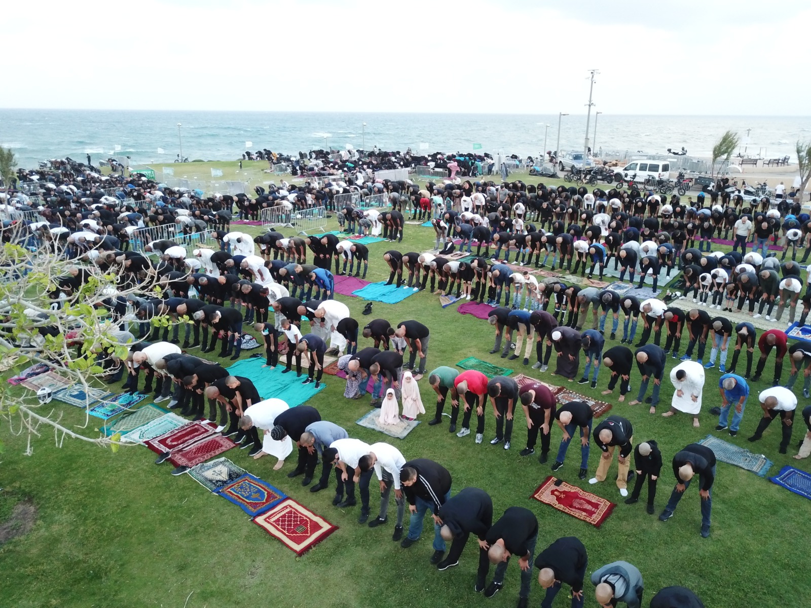 WhatsApp Image 2020-05-24 at 7.56.14 AM.jpeg.jpeg